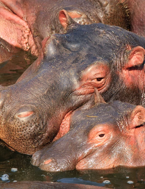 Lake Mburo National Park