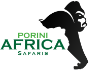 poriniafricasafaris.com